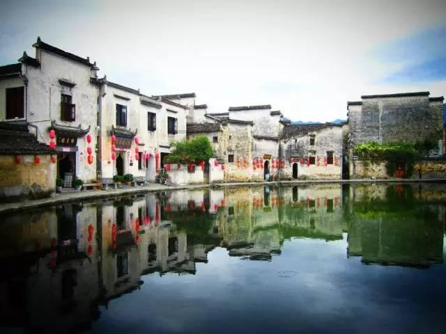 细胞分裂4